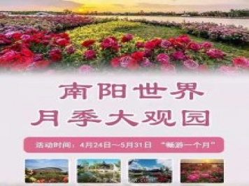 第十二届南阳月季花会4月29日开幕，活动丰富多彩