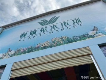鄢陵县花木产业未必能想到的那些问题