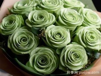 苏格兰复古绿玫瑰，绿色魅力的神秘诠释