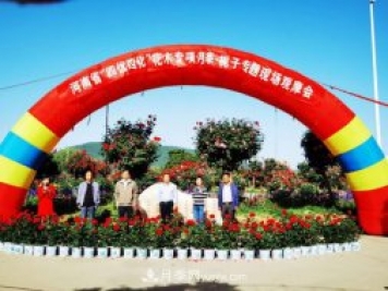 河南省四优四化项目 助推南阳月季、栀子产业发展