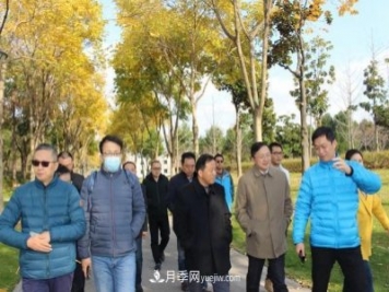 提升城市园林绿化，苏州向上海学什么？